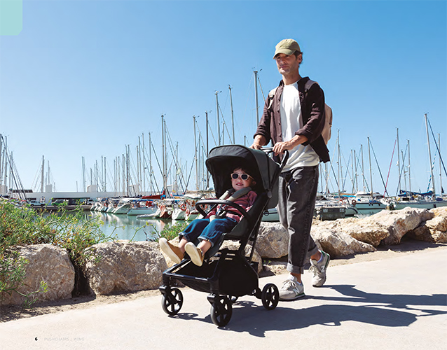 Silla de paseo WING